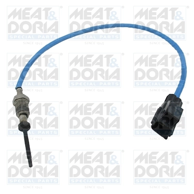 Sensor, exhaust gas temperature 12430