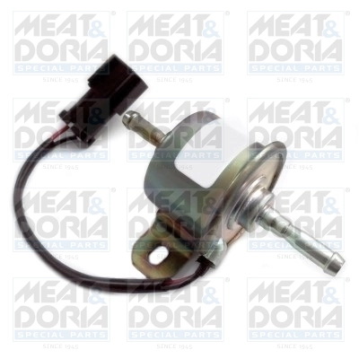 Fuel Pump 77685