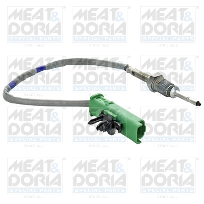 Sensor, exhaust gas temperature 12454