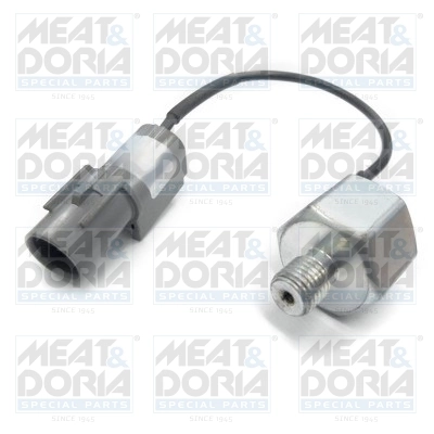 Knock Sensor 87667
