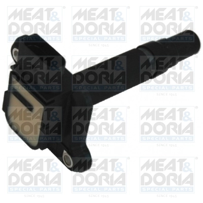 Ignition Coil 10330