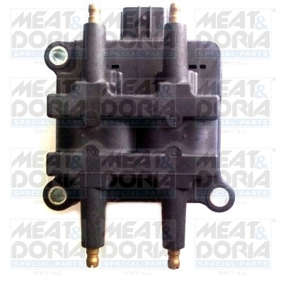 Ignition Coil 10653