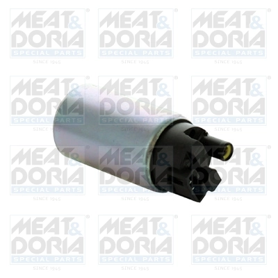 Fuel Pump 77580