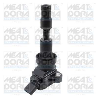 Ignition Coil 10846