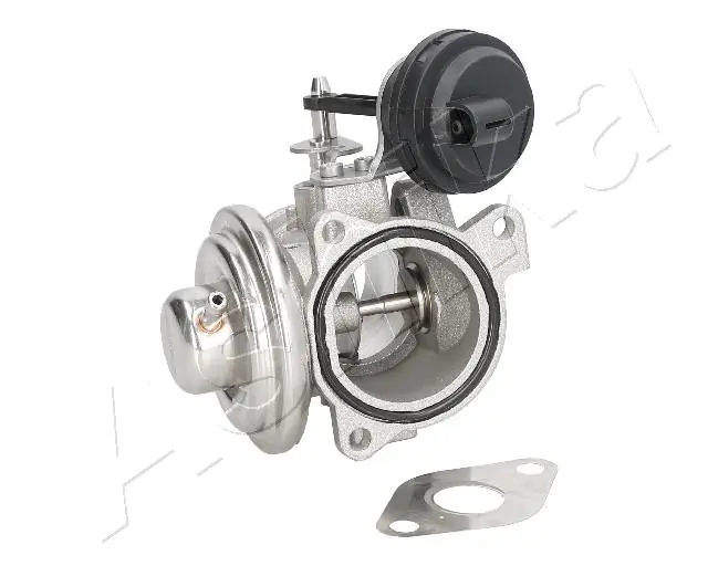 EGR Valve 150-00-0900
