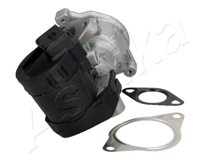 EGR Valve 150-00-0302