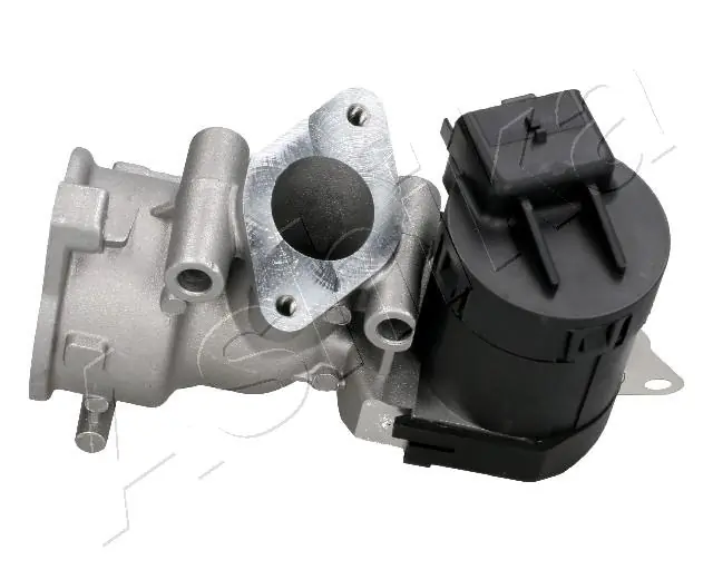 EGR Valve 150-00-0302
