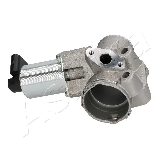 EGR Valve 150-0M-M00