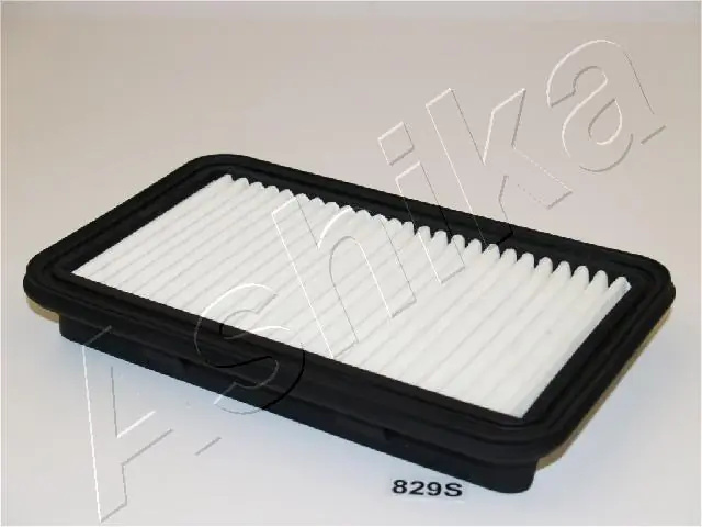 Air Filter 20-08-829
