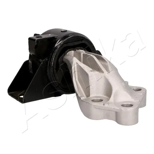 ASHIKA GOM-W81 Mounting, engine