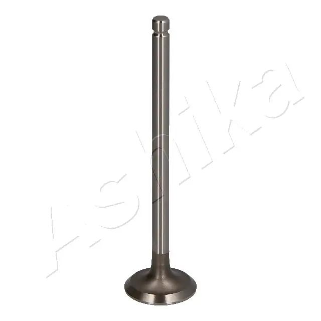 Exhaust Valve 15MI003