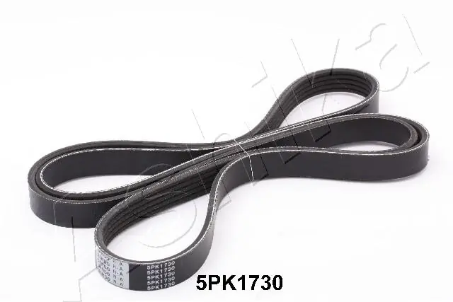 V-Ribbed Belt 112-5PK1730