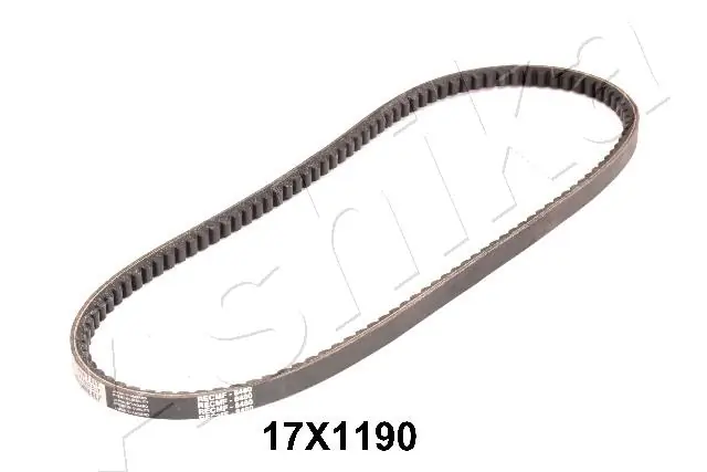 V-Belt 109-17X1190
