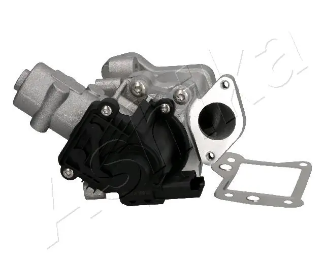 EGR Valve 150-0L-L06