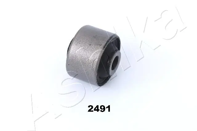 Mounting, control/trailing arm GOM-2491
