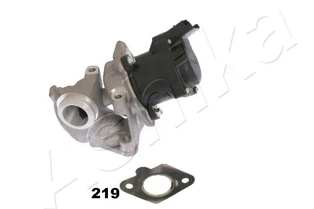 EGR Valve 150-02-219