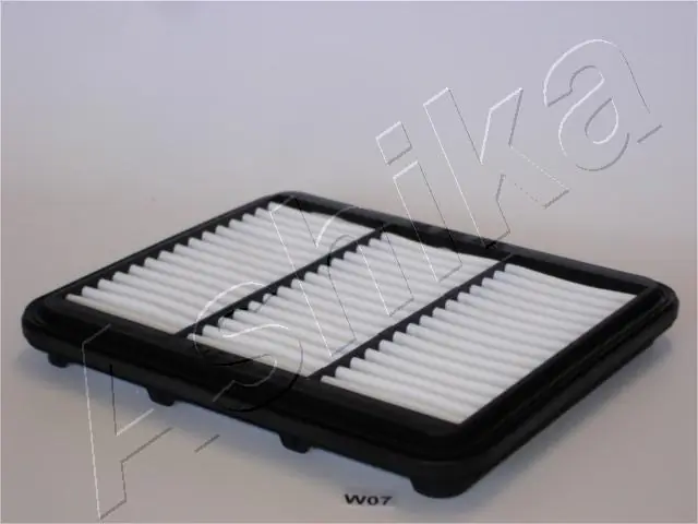 Air Filter 20-0W-W07