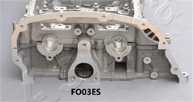Cylinder Head FO03ES