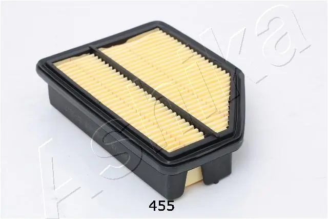 Air Filter 20-04-455