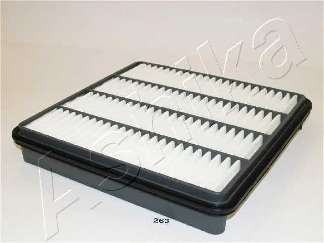 Air Filter 20-02-263