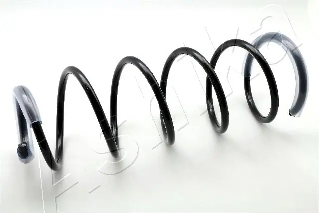 Suspension Spring ZCA1549G