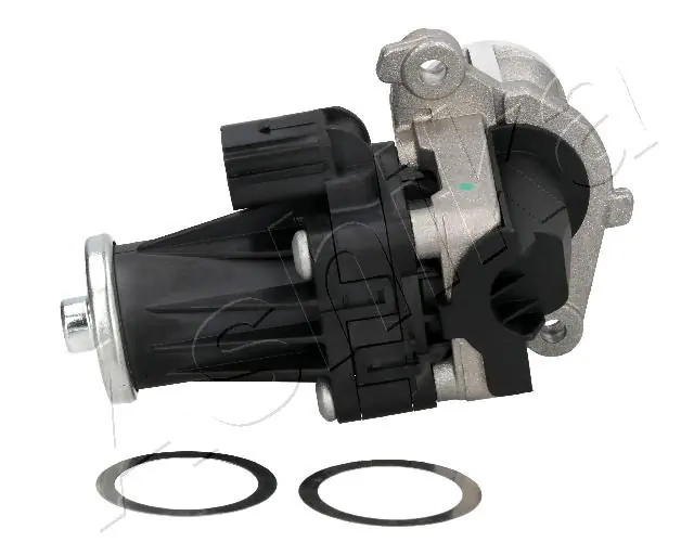 EGR Valve 150-00-0200