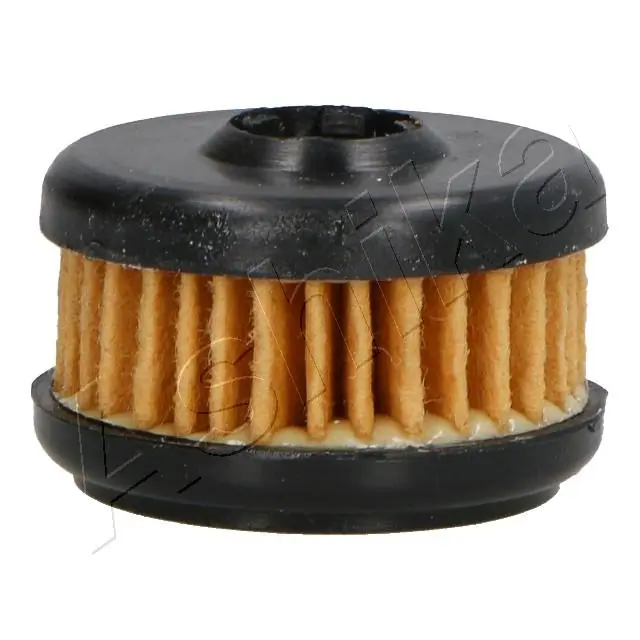Fuel Filter 10-GAS20S