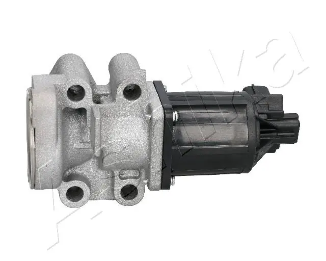 EGR Valve 150-05-517