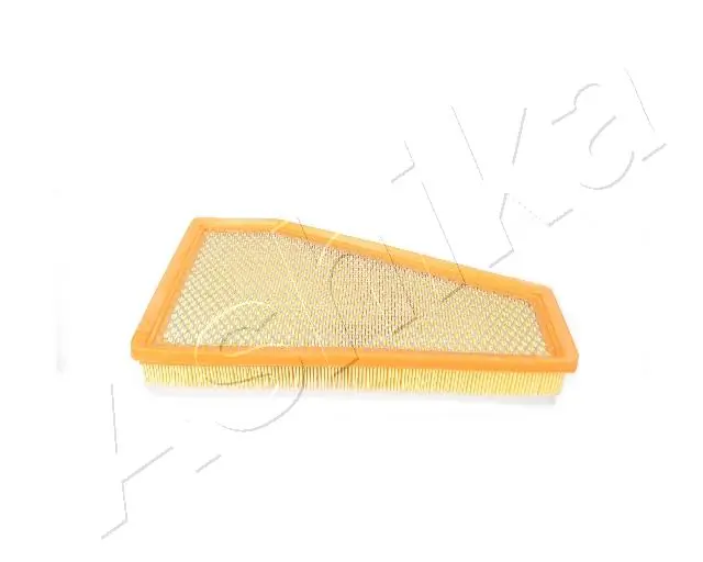 Air Filter 20-00-008
