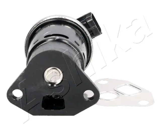 EGR Valve 150-0W-W08