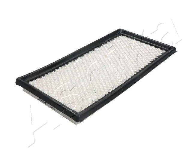 Air Filter 20-00-018