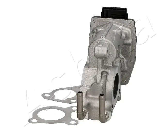 ASHIKA 150-02-204 EGR Valve