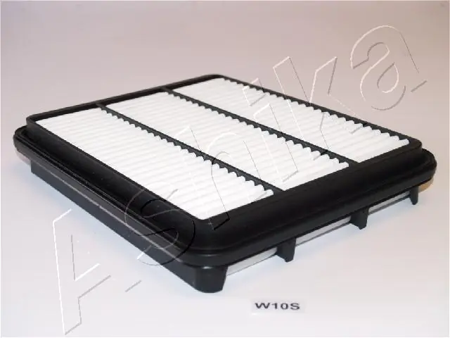 Air Filter 20-0W-W10