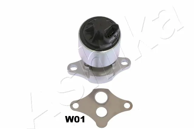 EGR Valve 150-0W-W01