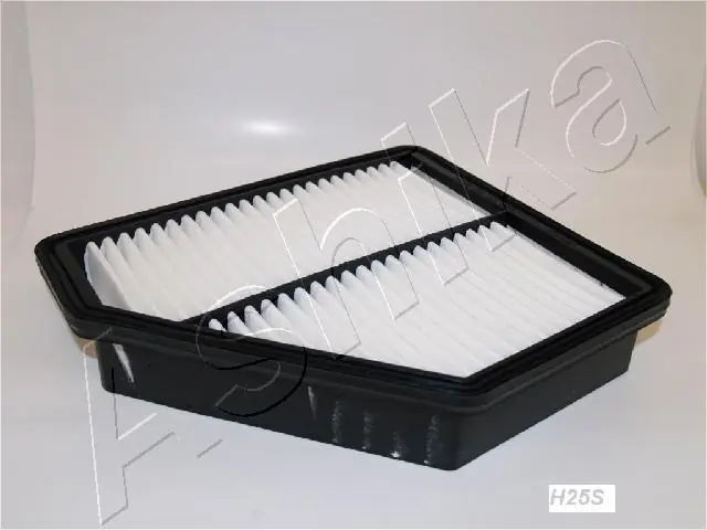 Air Filter 20-0H-H25