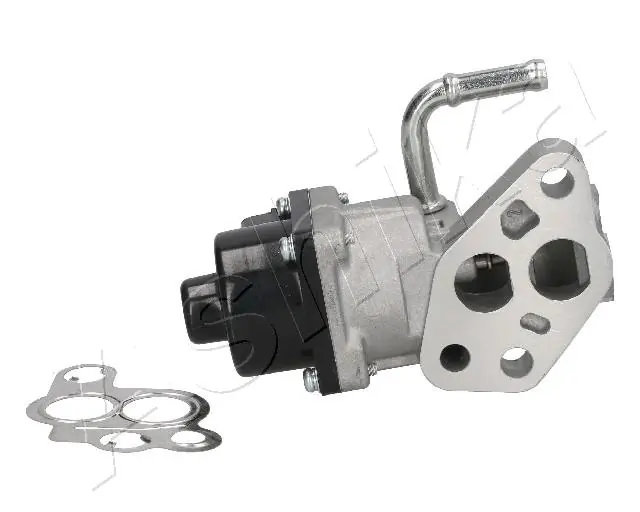 EGR Valve 150-00-0307