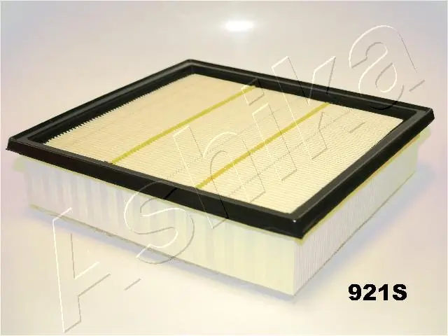 Air Filter 20-09-921