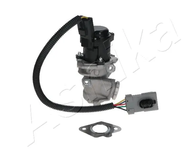 EGR Valve 150-00-0301