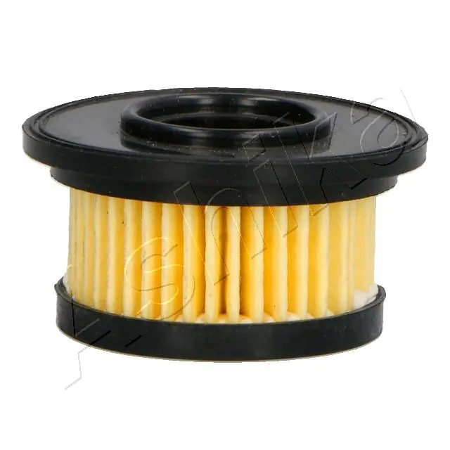 Fuel Filter 10-GAS24S