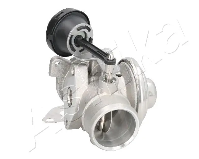 EGR Valve 150-00-0900