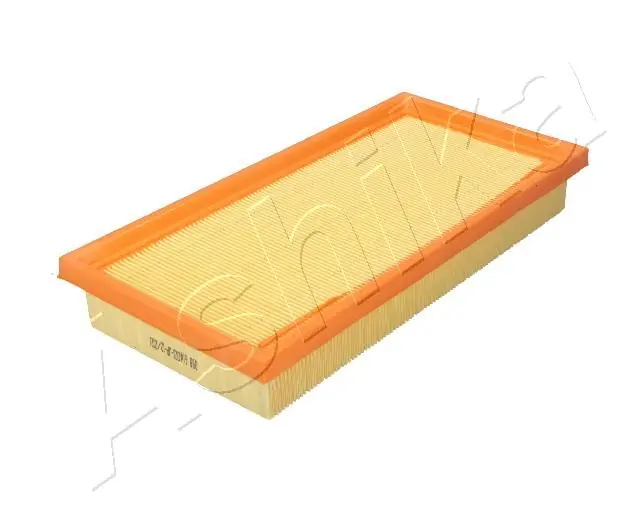 Air Filter 20-00-098