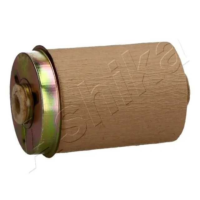 Fuel Filter 30-00-004