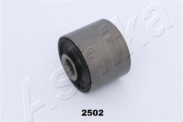 Mounting, control/trailing arm GOM-2502