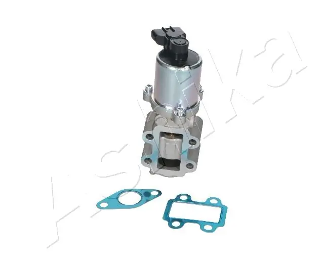 EGR Valve 150-02-203