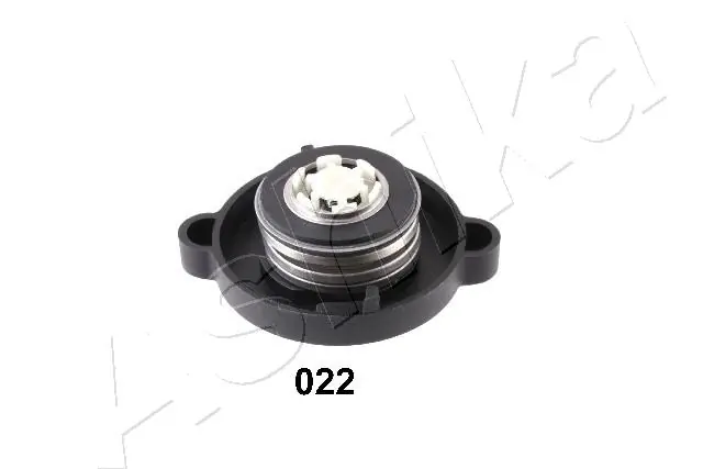Cap, radiator 33-00-022