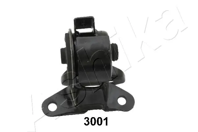 ASHIKA GOM-3001 Mounting, engine