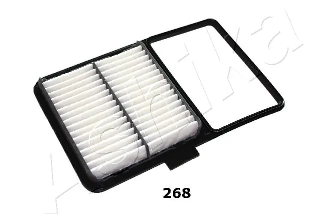 Air Filter 20-02-268