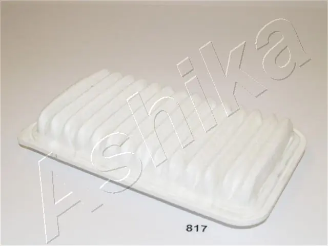 Air Filter 20-08-817