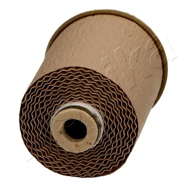 Fuel Filter 30-00-004