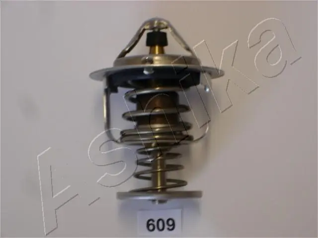 Thermostat, coolant 38-06-609